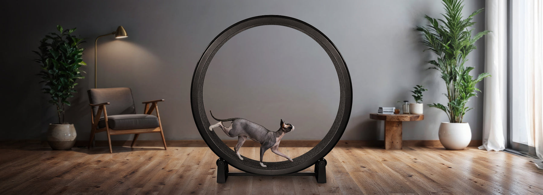 Built for cats who love to run.